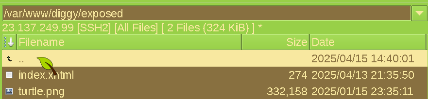 gFTP with cursor over the black arrow, AKA the back button