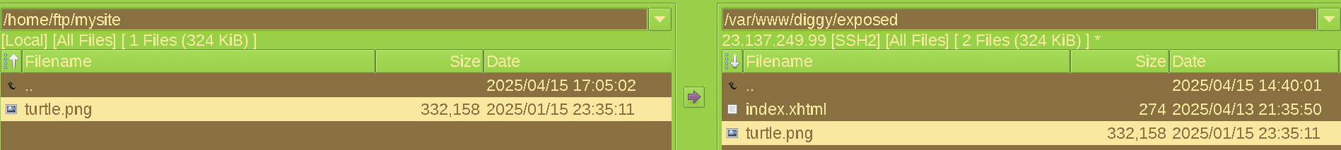 gFTP showing the turtle.png on the VPS side