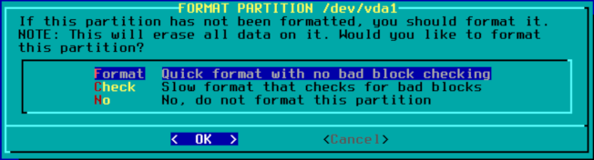 Agreeing to format the partition